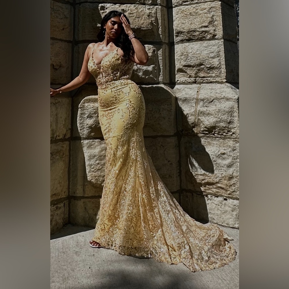 Sheer Embellished Gown